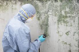 Best Mold Removal for HVAC Installations  in River Ridge, LA